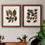 Feuilles d'automne I - ensemble de 2 reproductions d'art-978469103-978469100-984545020