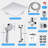 Rain Dual Shower Head 1.6 GPM GPM