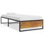 Dacula Bed-1729122222