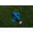 Carolina Panthers