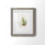 Gardenaire II - peinture encadrée-1104576832-1104576839