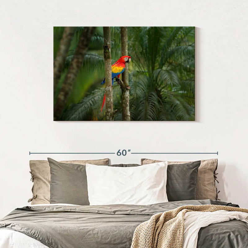 Brampt Wild Scarlet Macaw, 30" H x 45" W
