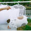 Multi-functional Pillow Drying Rack-622843354