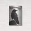 «Nevermore» par Michael Buxton, art mural en métal, 16 po x 24 po-101672849