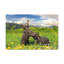 Wall Art on Canvas-441172420