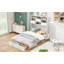Murphy Bed With Bookcase