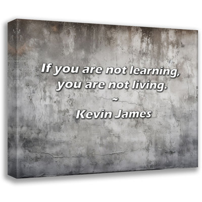 Kevin James Quote: If you are not learning, you are not living.