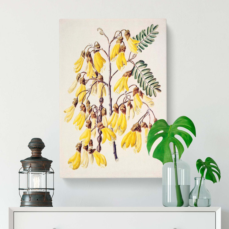 Kowhai Flowers by Sarah Featon - Wrapped Canvas Print, 76cm H x 50cm W x 3cm D