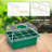 Costyle Plant Trays/ Stands Fruits / Vegetables