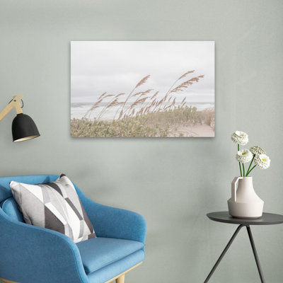 Photographie de corail et de coquillages contemporains