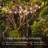Glow Globe Edison LED Waterproof Outdoor 12 Bulb String Lights, 312"