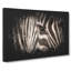 Eye Of The Zebra - Wrapped Canvas-56642741
