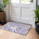  Machine Washable Indoor/Outdoor Chayden ACN1061 Rug