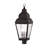Arelene Lantern Head-76790906
