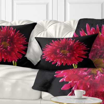 Chrysanthème fleur sur fond noir - coussin à imprimé floral