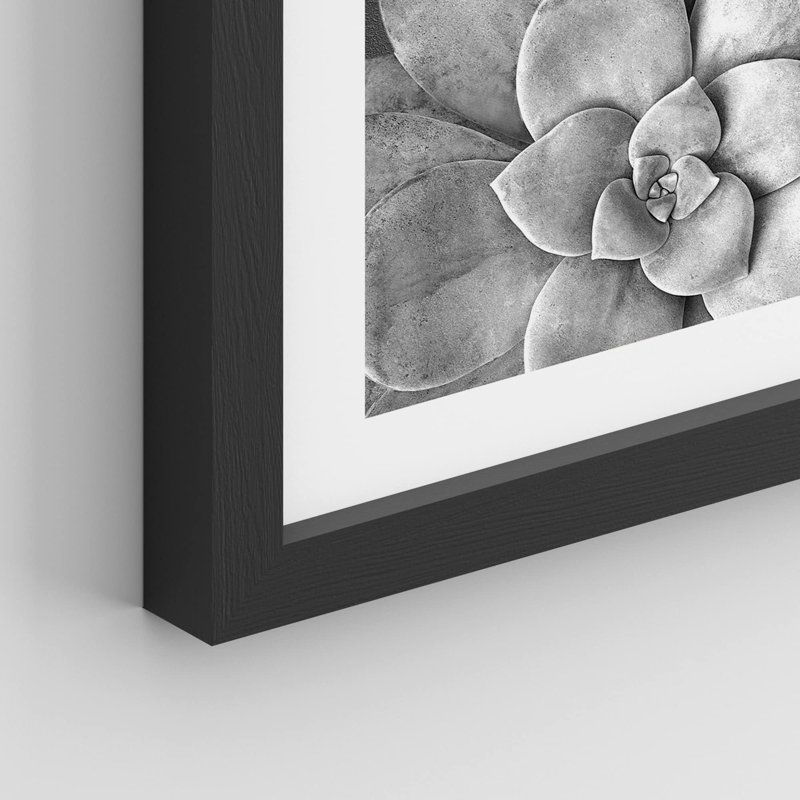 Cactus succulent noir et blanc en niveaux de gris Southwest, Noir, H 14 po x l 11 po