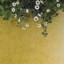 Dis Moss-1898626154