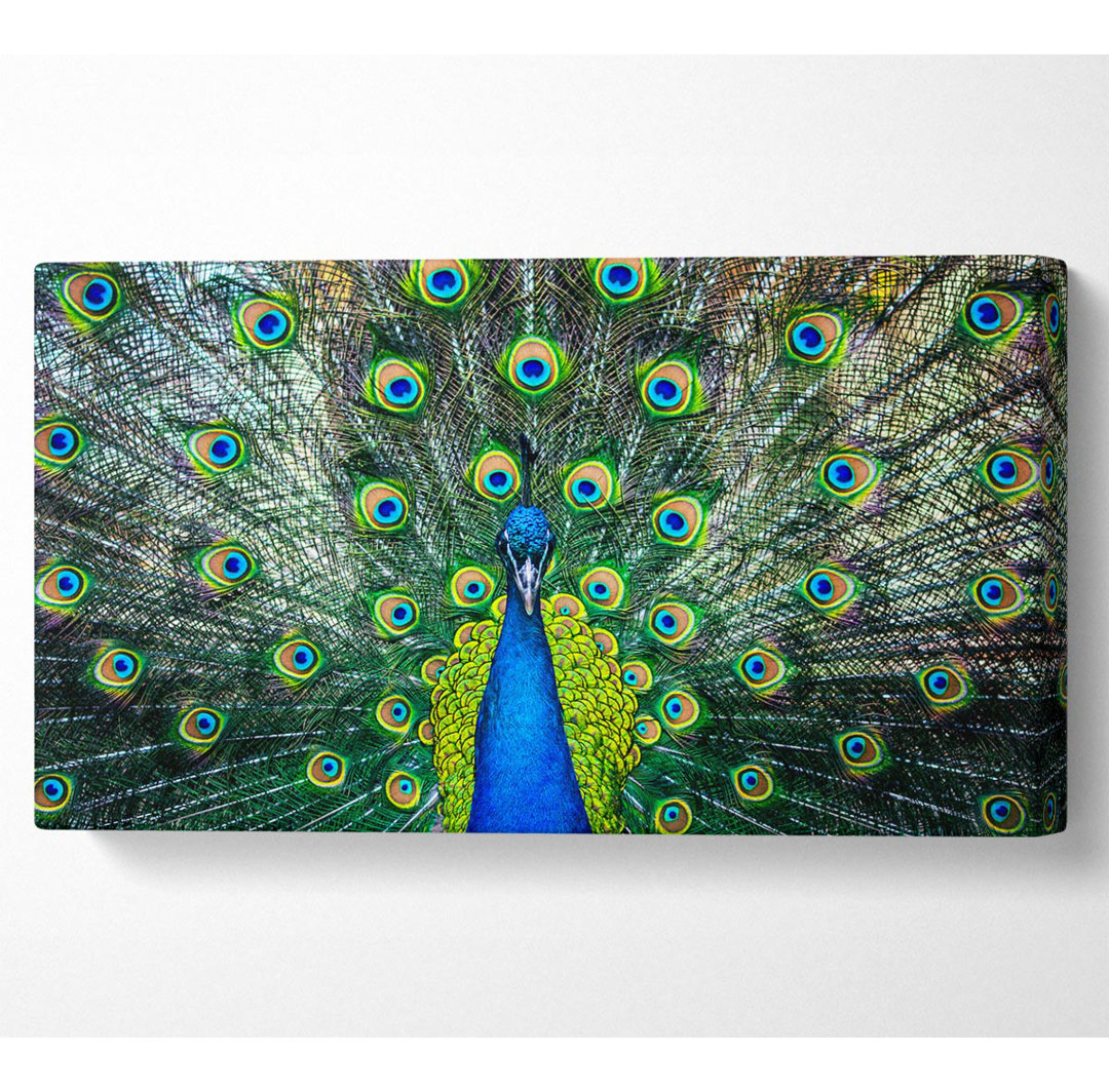 Peacock Plume - Kunstdrucke auf Segeltuch