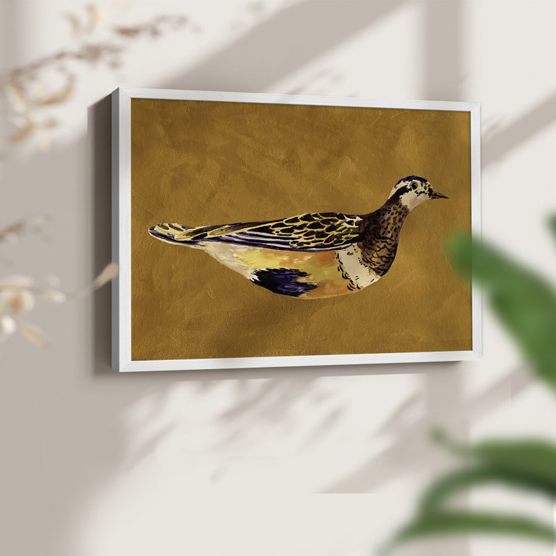 «Feathered Friend II», reproduction encadrée, H 16 po x l 20 po, Blanc