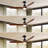 59.96'' Ceiling Fan with Light Kit