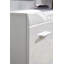 24 Pair Shoe Storage Cabinet