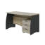 Bhanupriya Computer Desk