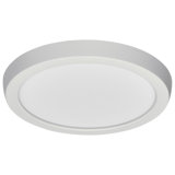 Dimmable Round Flush Mount