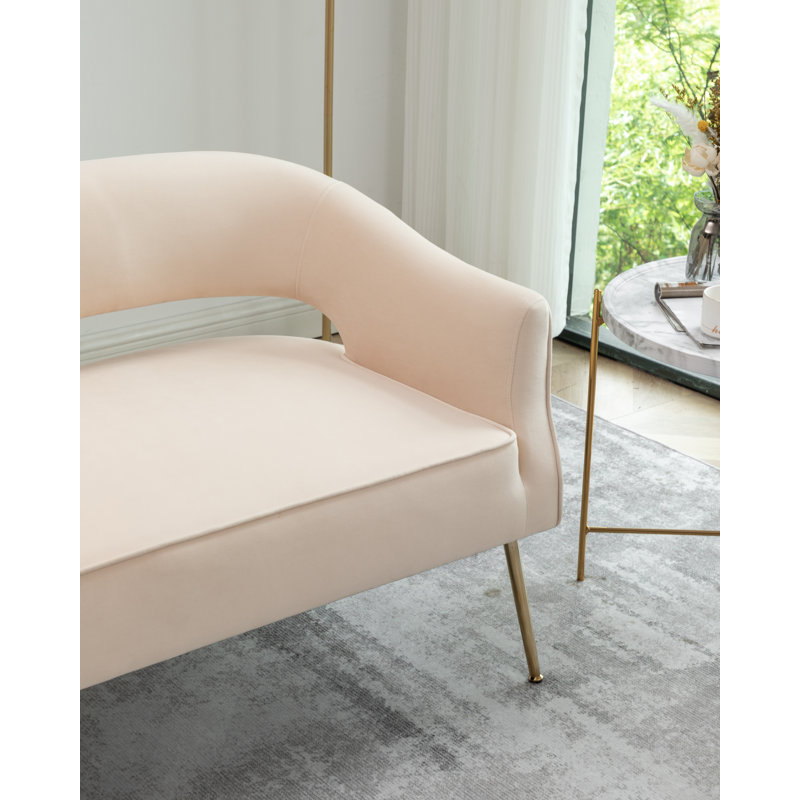 Chynna 51.2'' Velvet Loveseat, Beige Velvet