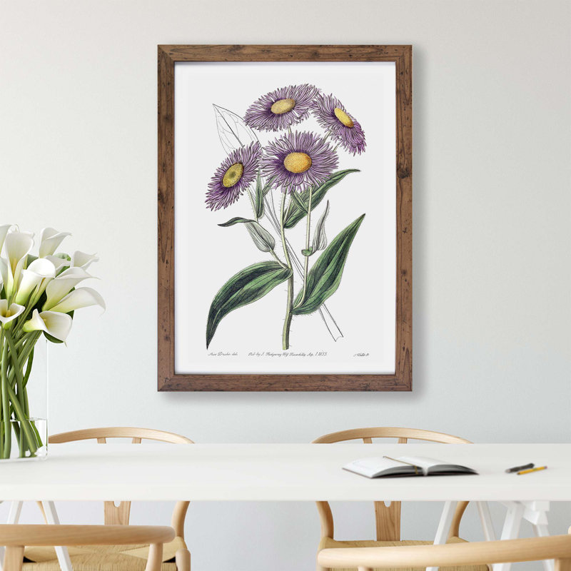 Daisy Flowers - Single Picture Frame Painting, 33cm H x 45cm W x 2cm D, Walnut