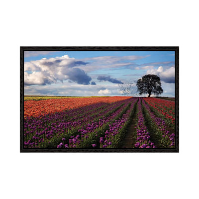 Tulip Festival - Print on Canvas