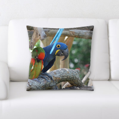 Coussin décoratif Gbccelier