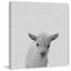 'Lamb Surprise' Print on Wrapped Canvas-28208634