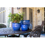 Kaylisa Ceramic Pot Planter
