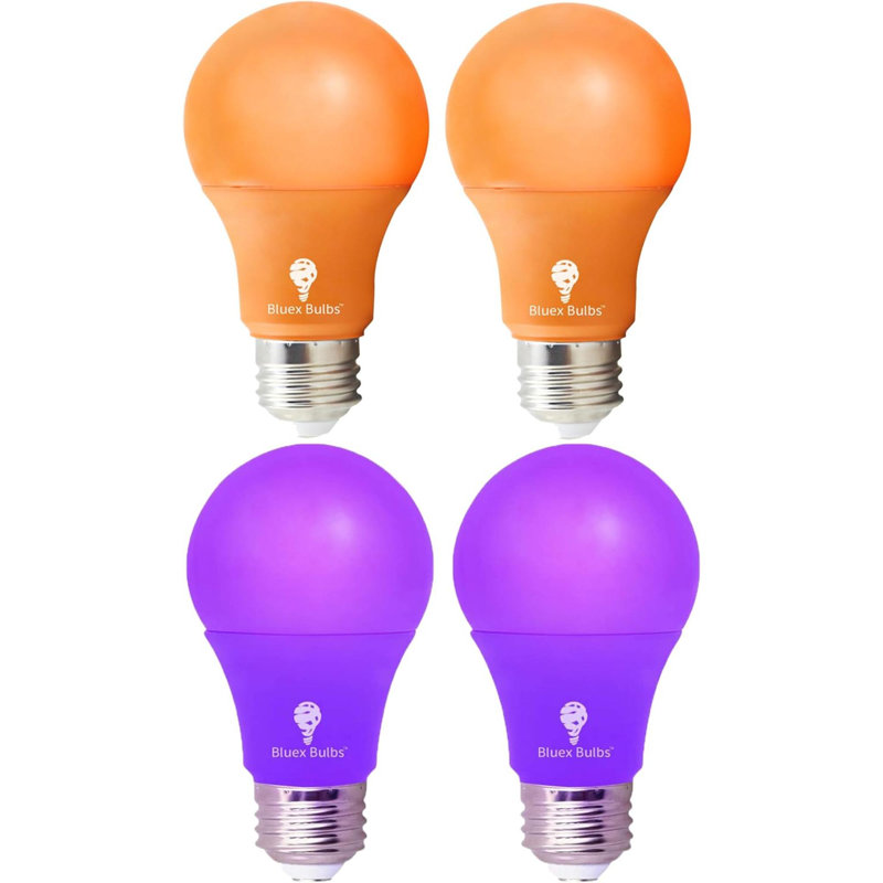 Ampoules, Orange / mauve