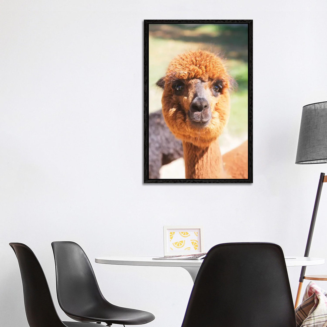 Puffy Brown Alpaca von Susan Vizvary - Gallery-Wrapped Canvas Giclée on Canvas