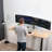 Telescoping Dual Monitor Desk Mount