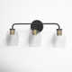 Attamore 3 Light Transparent Dimmable Vanity Light