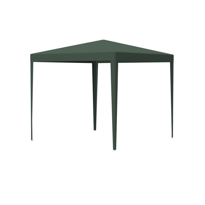 Auvent extérieur de 10 pi x 10 pi avec 4 murs amovibles - pour les parties de pendaison de crémaillère, tente de pavillon de mariage de mariage de 10 pi x 10 pi, événements sur les parois latérales,