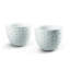 Hitoiki 2 Piece Japanese Teacup Set