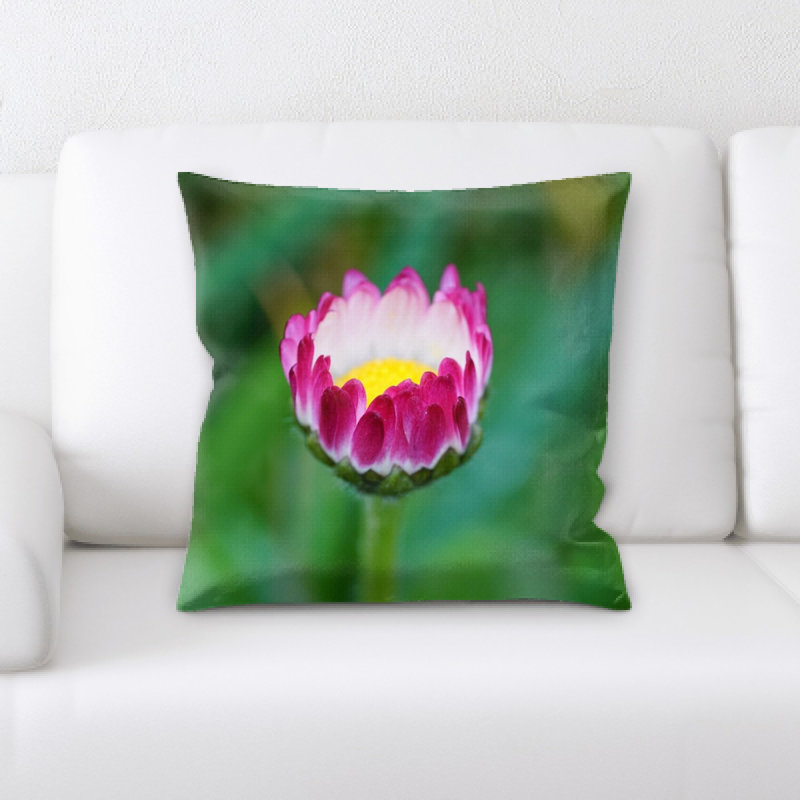 Housse et insert de coussin carré Daisy