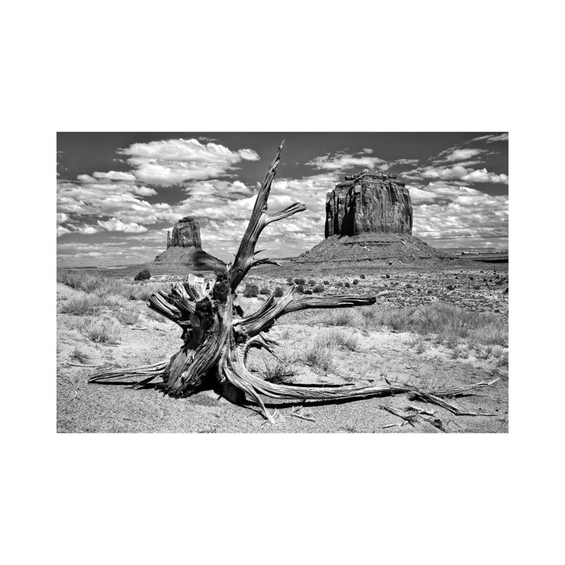 B&W Desert View V by David Drost - Wrapped Canvas Panoramic Print, 30.48 cm H x 45.72 cm W