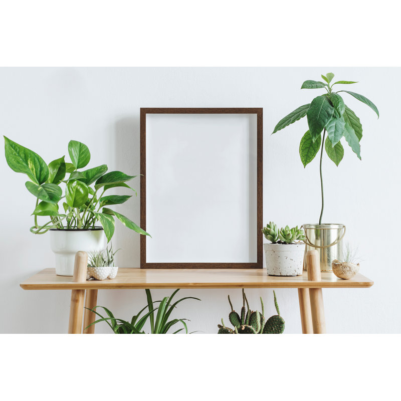 Espresso 18" x 48" Manufactured Wood Picture Frame