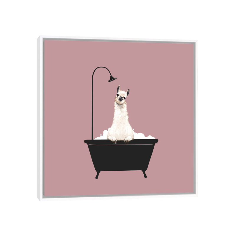 Lama dans une baignoire, Toile blanche encadrée, H 37 po x l 37 po x P 1,5 po
