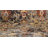 Alameda Oriental Indoor Rug-1352969719