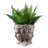 Lady Head Bust Flower Planter Plant Pot