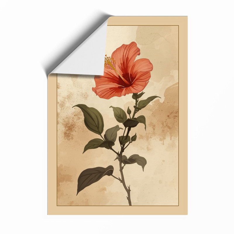Hibiscus Study Botanical - Framed Print, A3 - 42.0 x 29.7 cm, Unframed