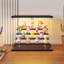 Display Cabinet-509594496