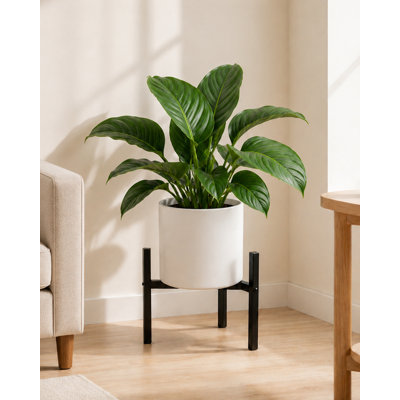 Adjustable Black Metal Plant Stand, Heavy-Duty Indoor and Outdoor Flowerpot Holder for 8–12-Inch Pots, Modern Corner Display