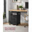 Annya 2 Drawer Filing Cabinet-109487380