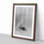 Egrets at the Waters Edge by Watanabe Seitei - Picture Frame Painting Print-55539548-55539545